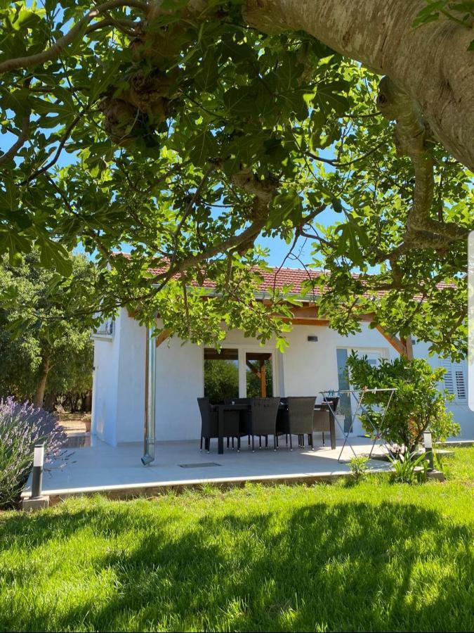 Holiday House Lucia Sukošan 外观 照片